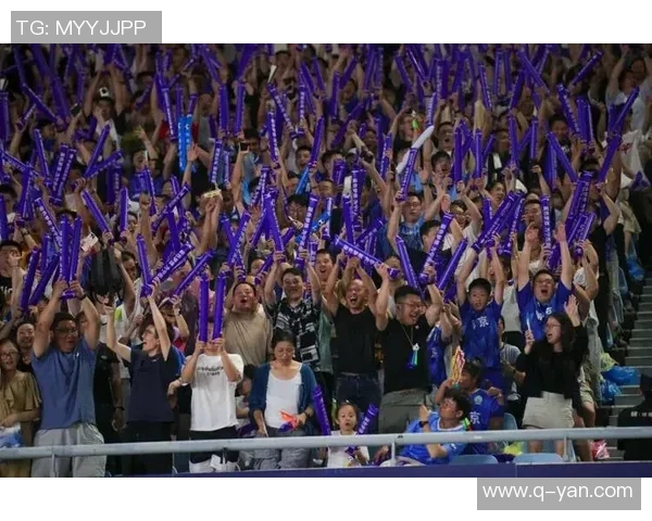 南京排球队战术变革引发热议球迷与专家共同探讨新策略与未来发展