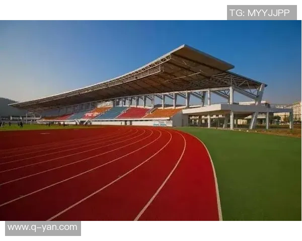 武汉网球队团队协作深度分析与其他球队的对比研究 武汉网球队团队协作深度分析与其他球队的对比研究