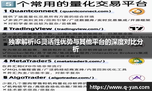 独家解析IG灵活性优势与其他平台的深度对比分析